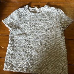 American Eagle Outfitters Textured Light Blue Cropped Short Sleeve Top, SZ L